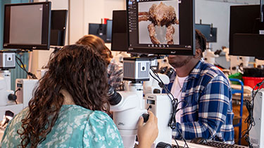 Students using digital microscopes in marine lab