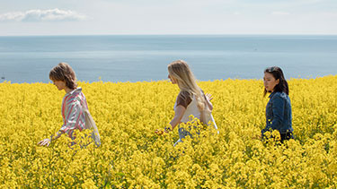 Students walking in a coastal field of yellow flowers